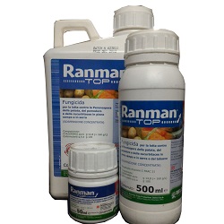 Ranman Top