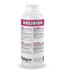 Molibion