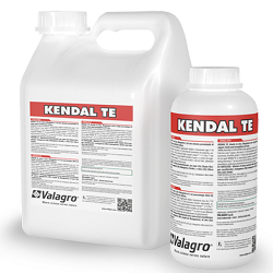 Kendal TE